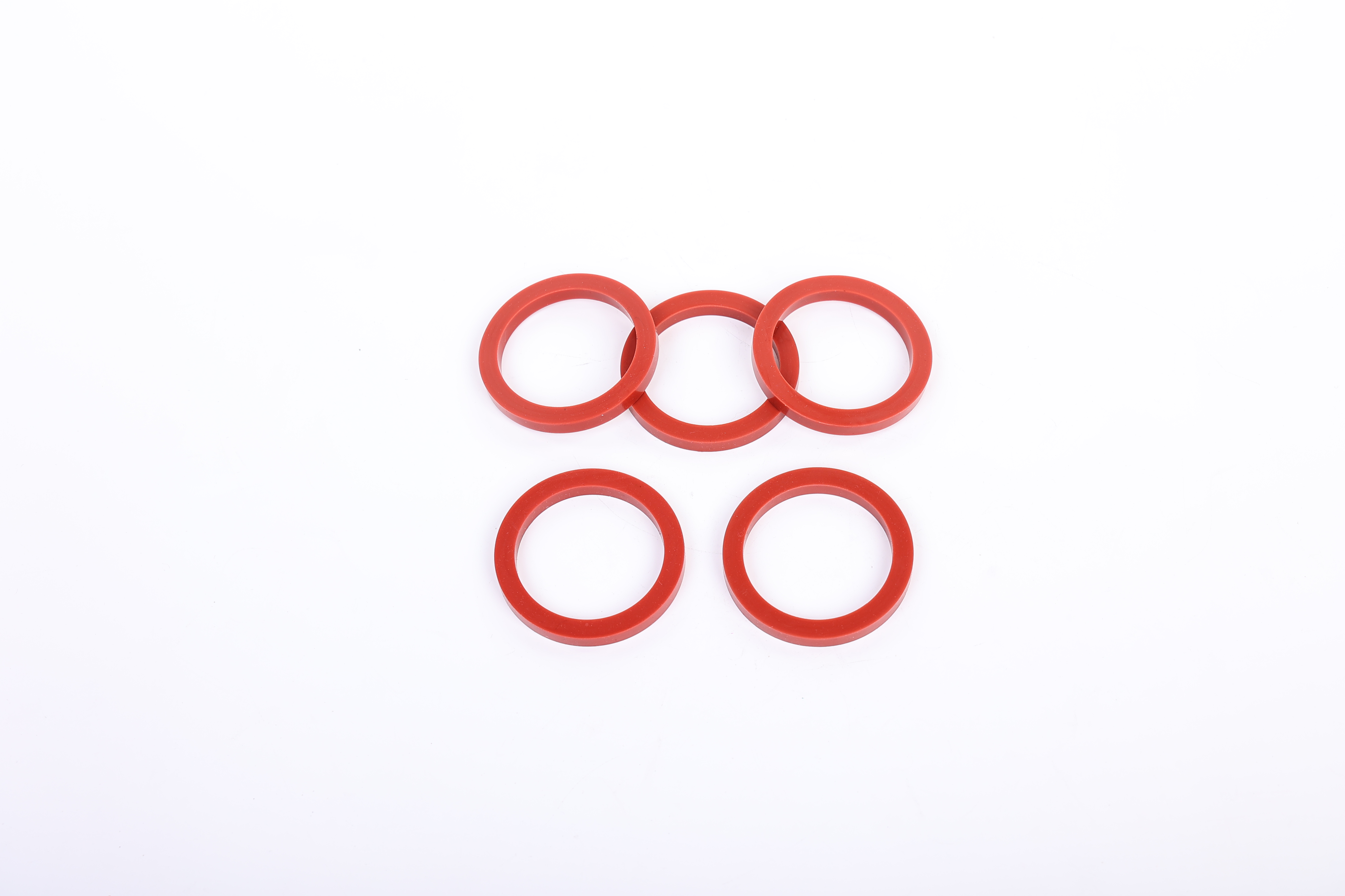 FKM gasket Viton gasket